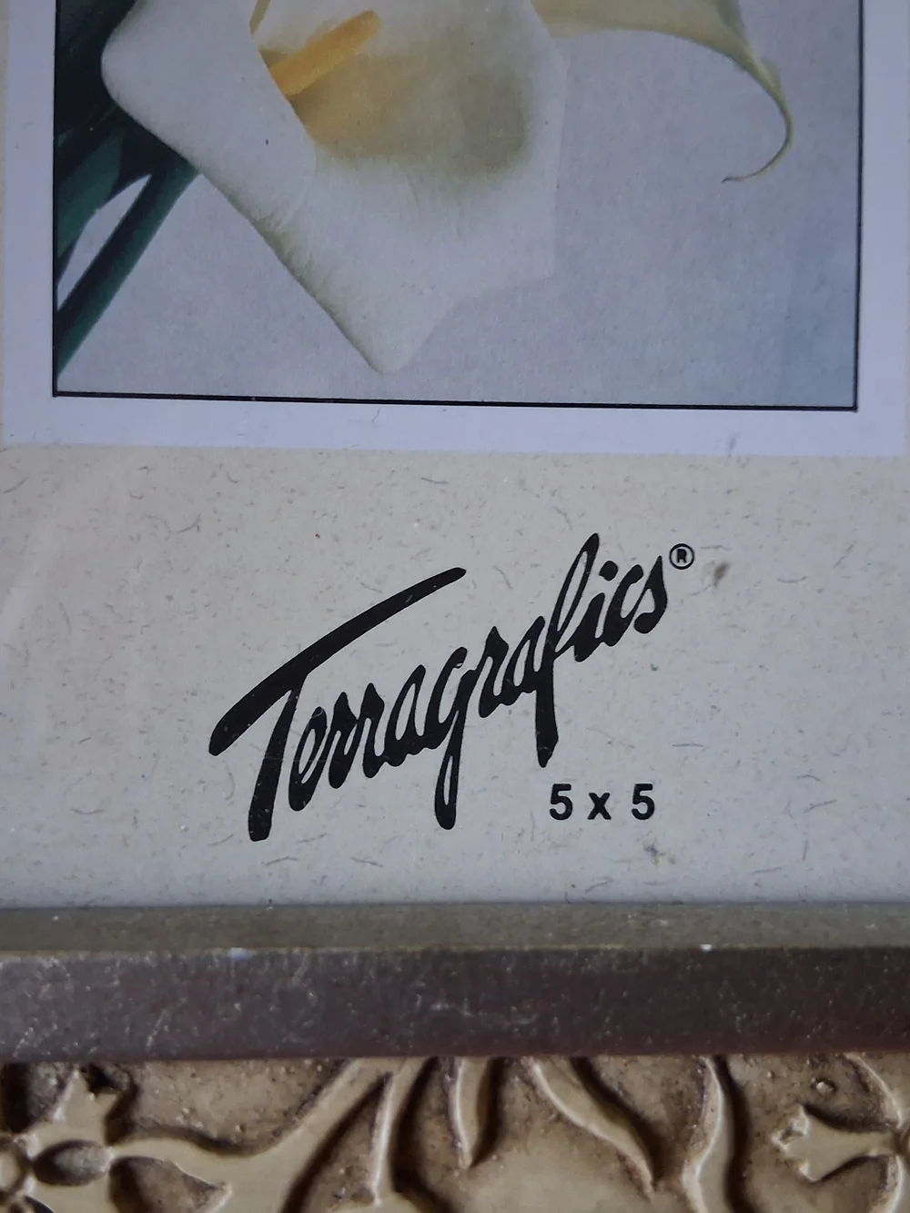 Vintage Terragrafics 5